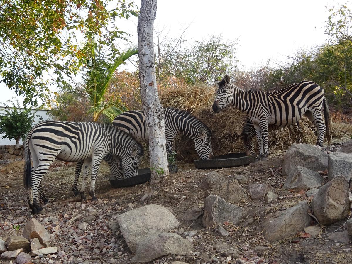 Lake Kariba Inns Siavonga Bagian luar foto